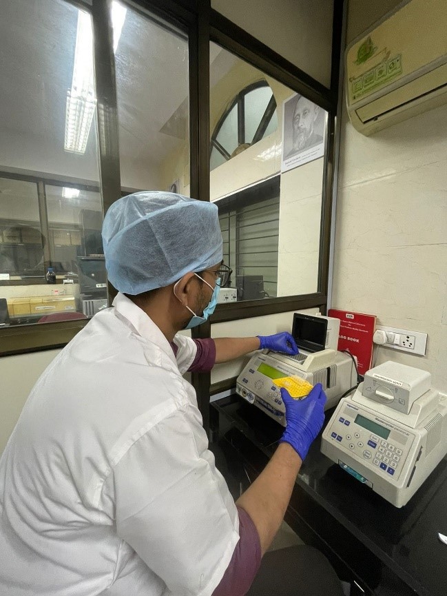 Conventional PCR